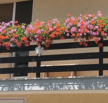Fiocco Di Neve Hotel Tarvisio Luaran gambar